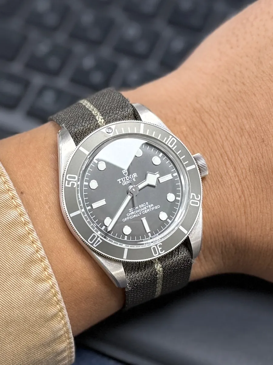 Tudor Black Bay 58 925 (Silver) M79010SG-0002