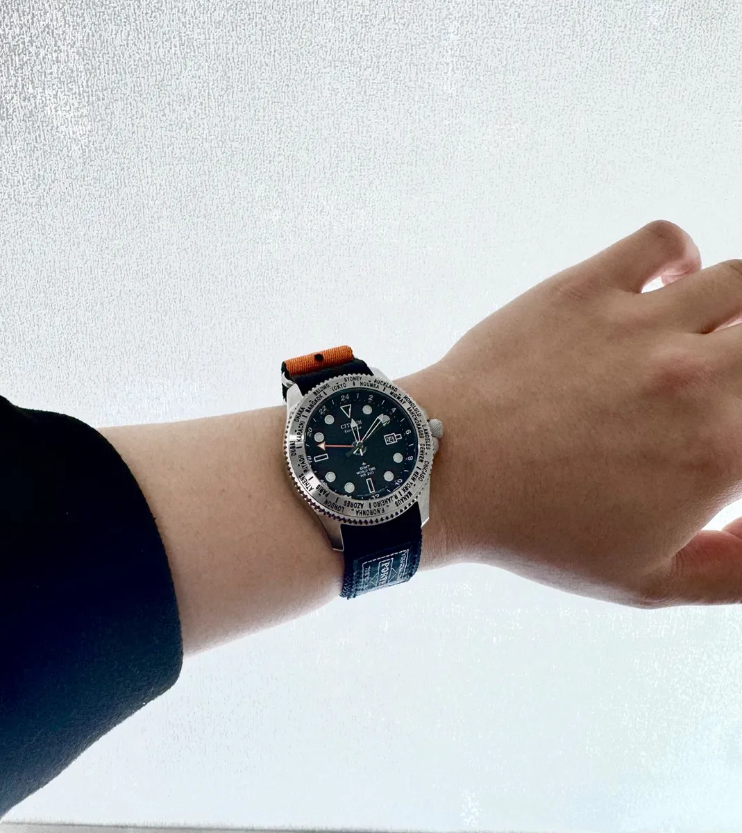Citizen(시티즌) Promaster Lamd GMT X Porter 386-19831