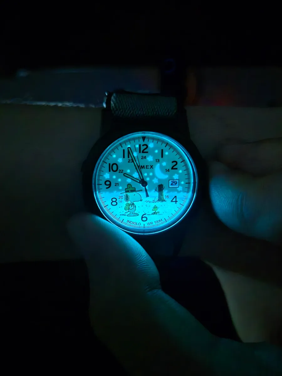 TIMEX(타이맥스) 익스페디션 비글 스카우트 패스트 랩 스트랩 워치 TW4B29100